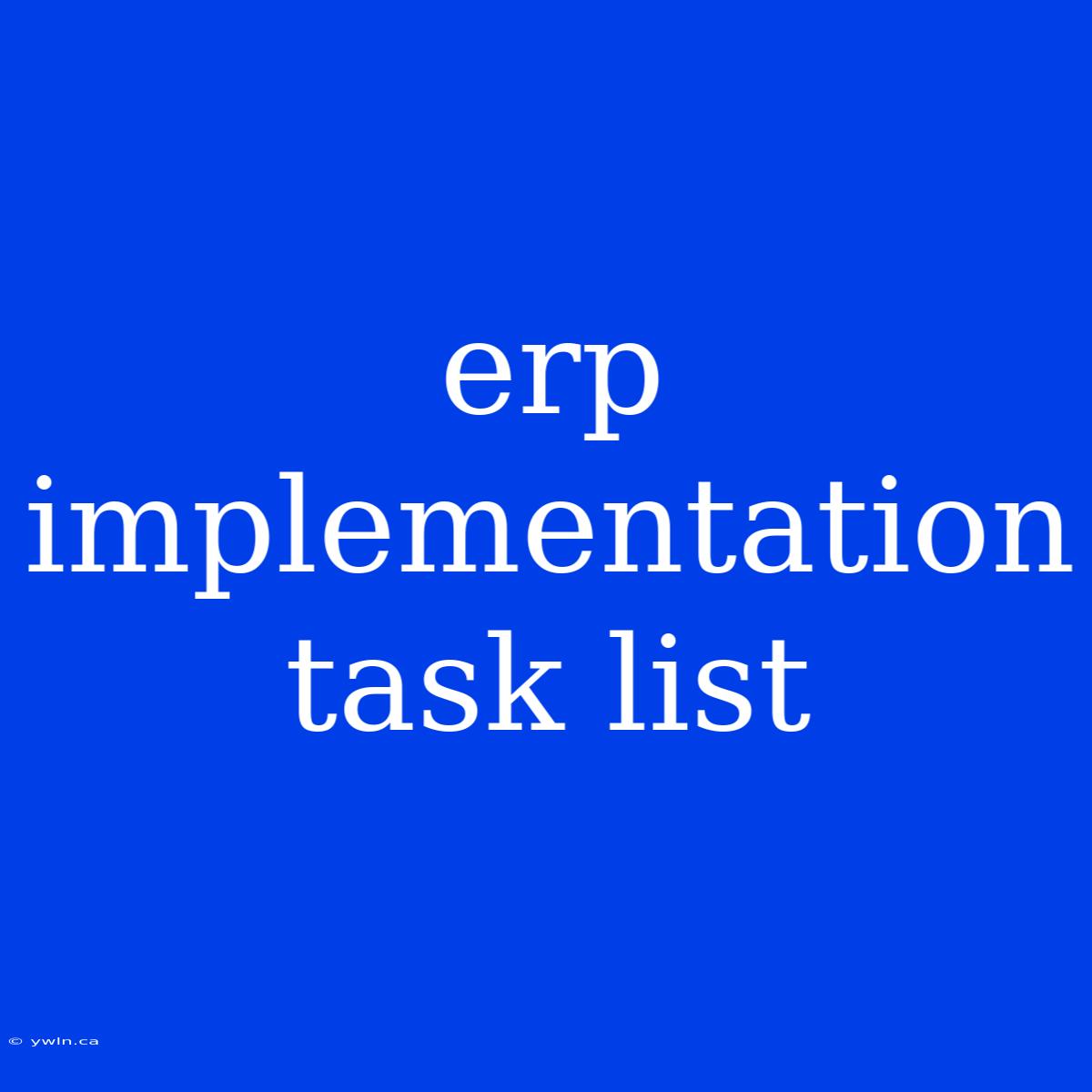 Erp Implementation Task List