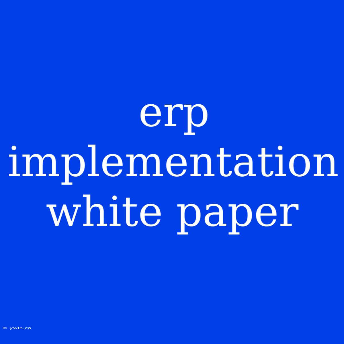 Erp Implementation White Paper