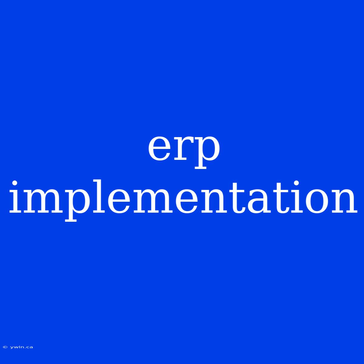 Erp Implementation