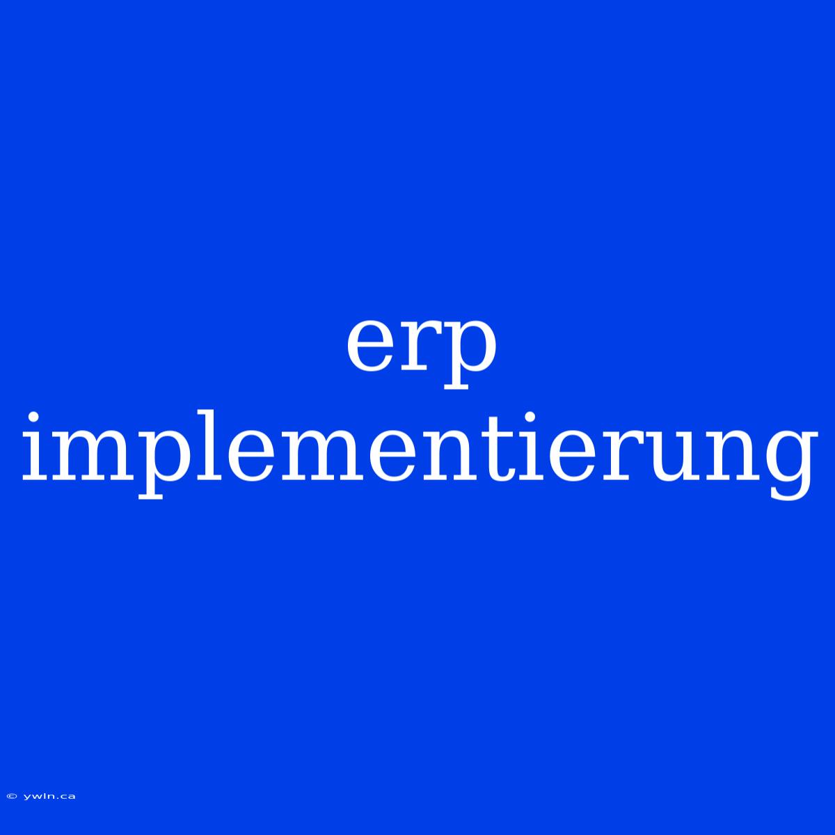 Erp Implementierung