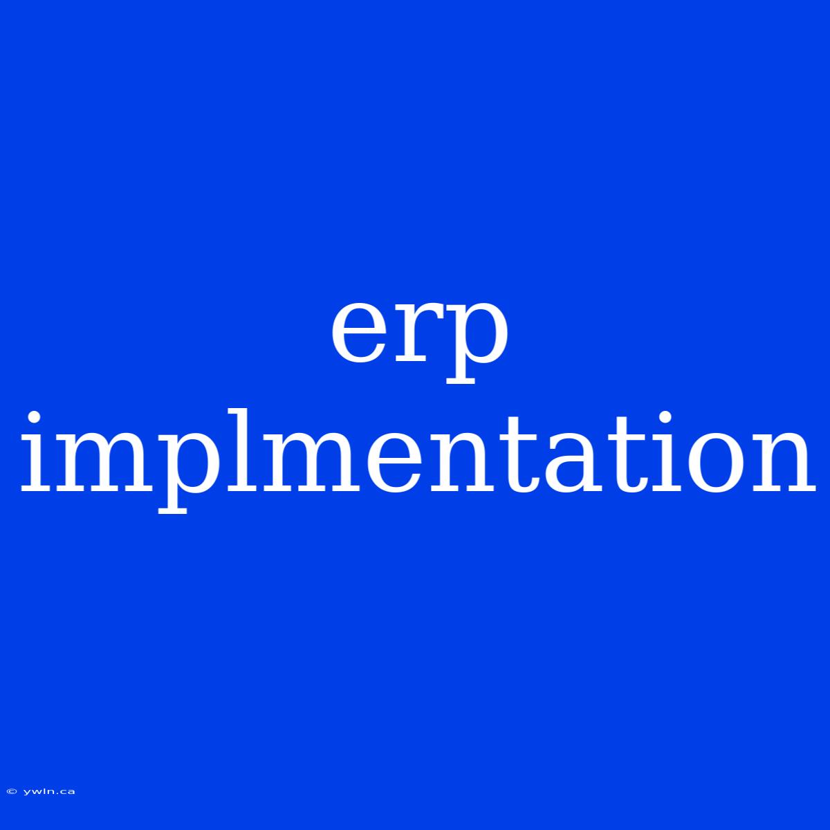 Erp Implmentation