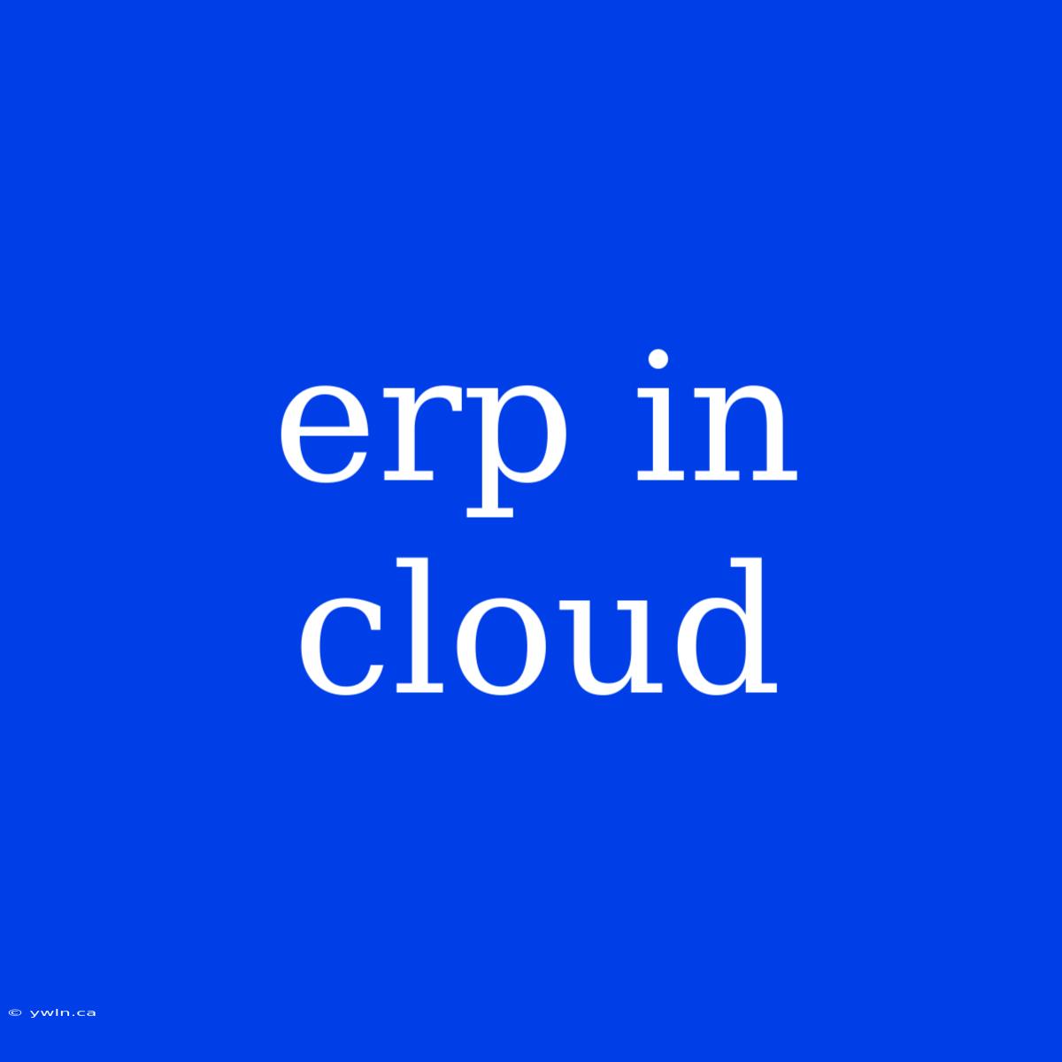 Erp In Cloud