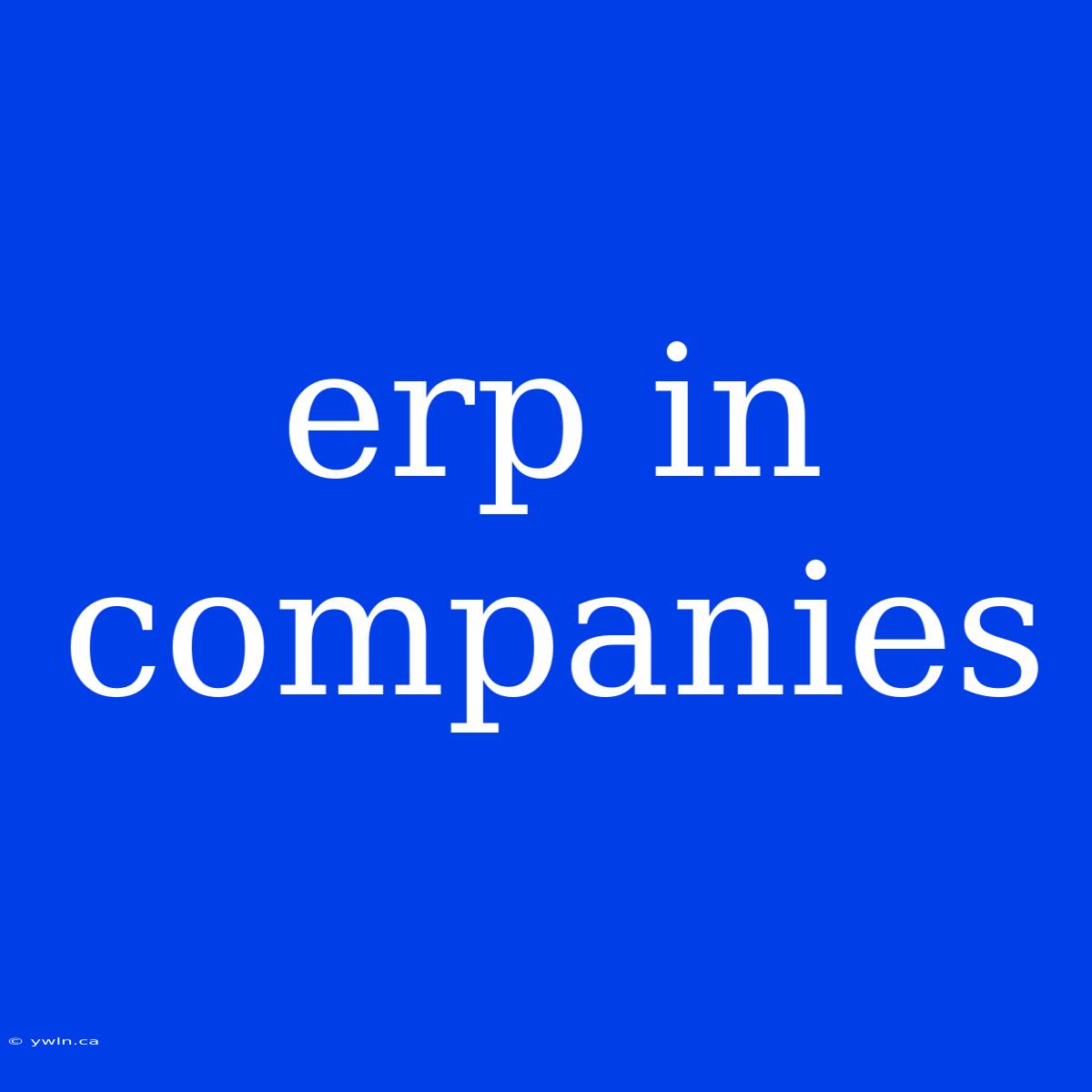 Erp In Companies