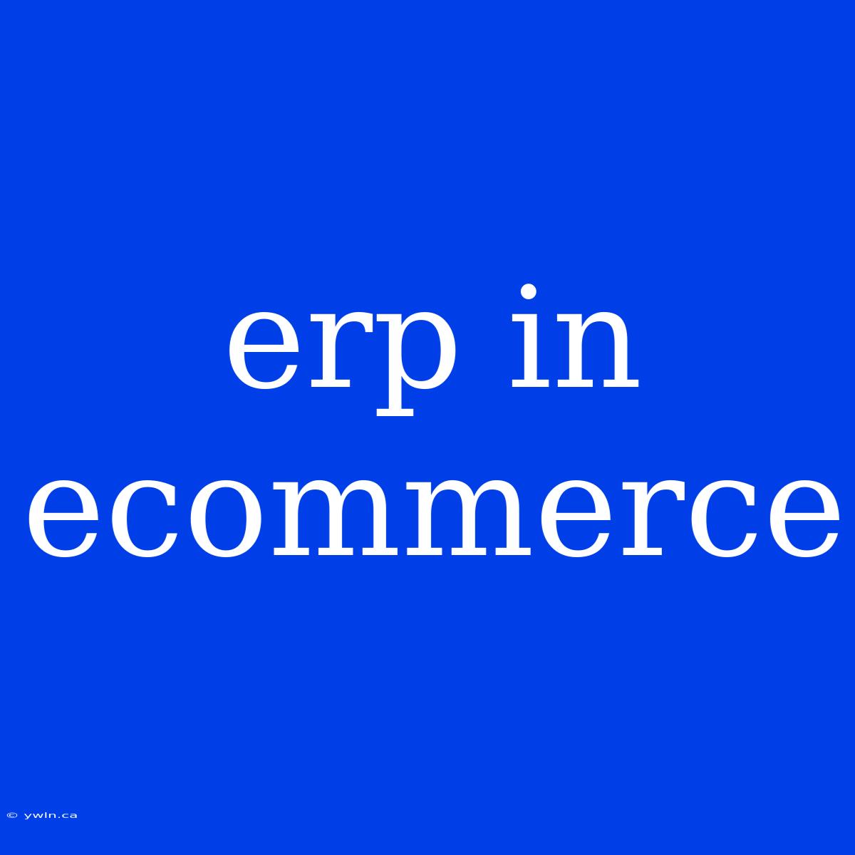 Erp In Ecommerce