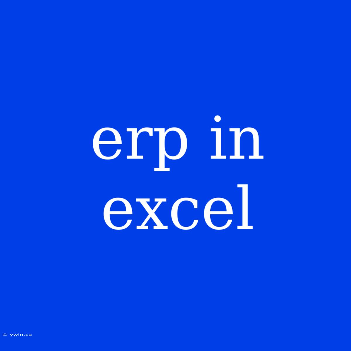 Erp In Excel