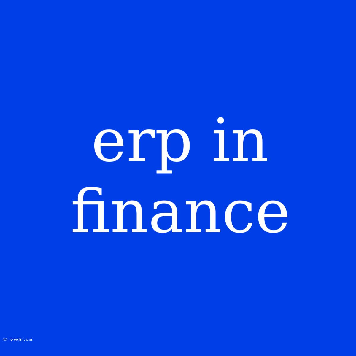 Erp In Finance