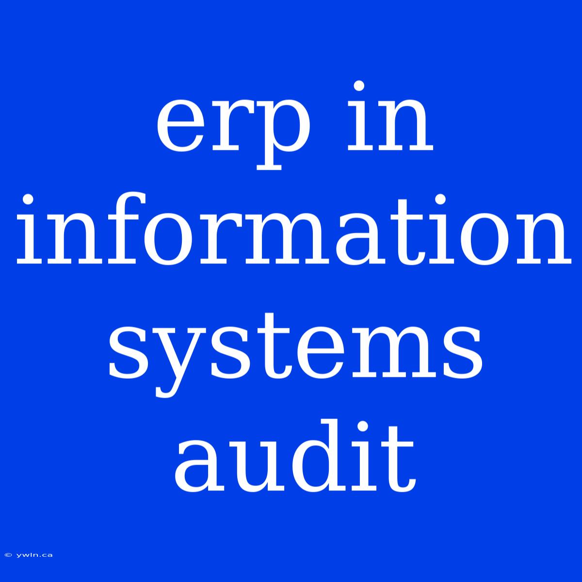 Erp In Information Systems Audit