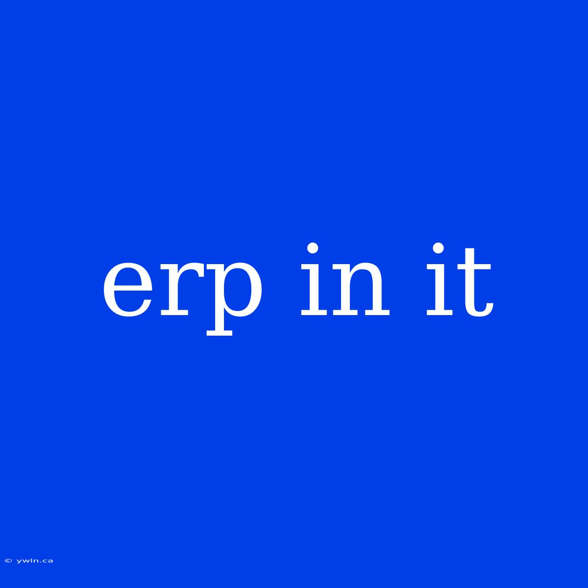 Erp In It