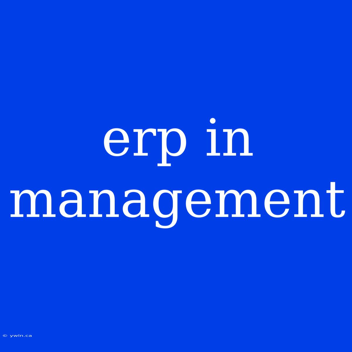 Erp In Management