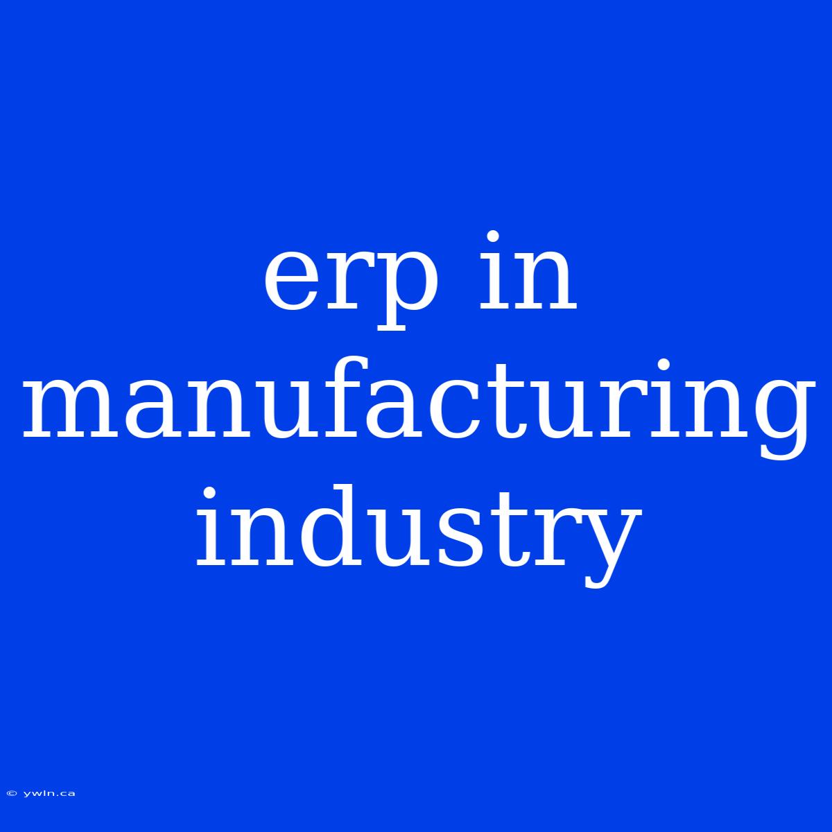 Erp In Manufacturing Industry