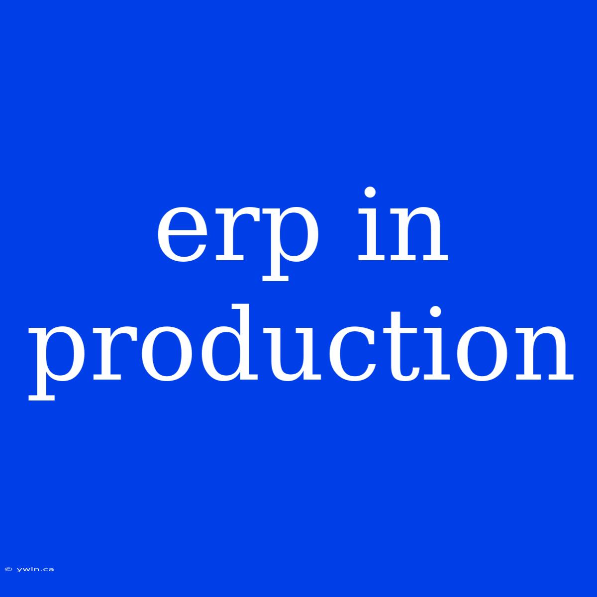 Erp In Production