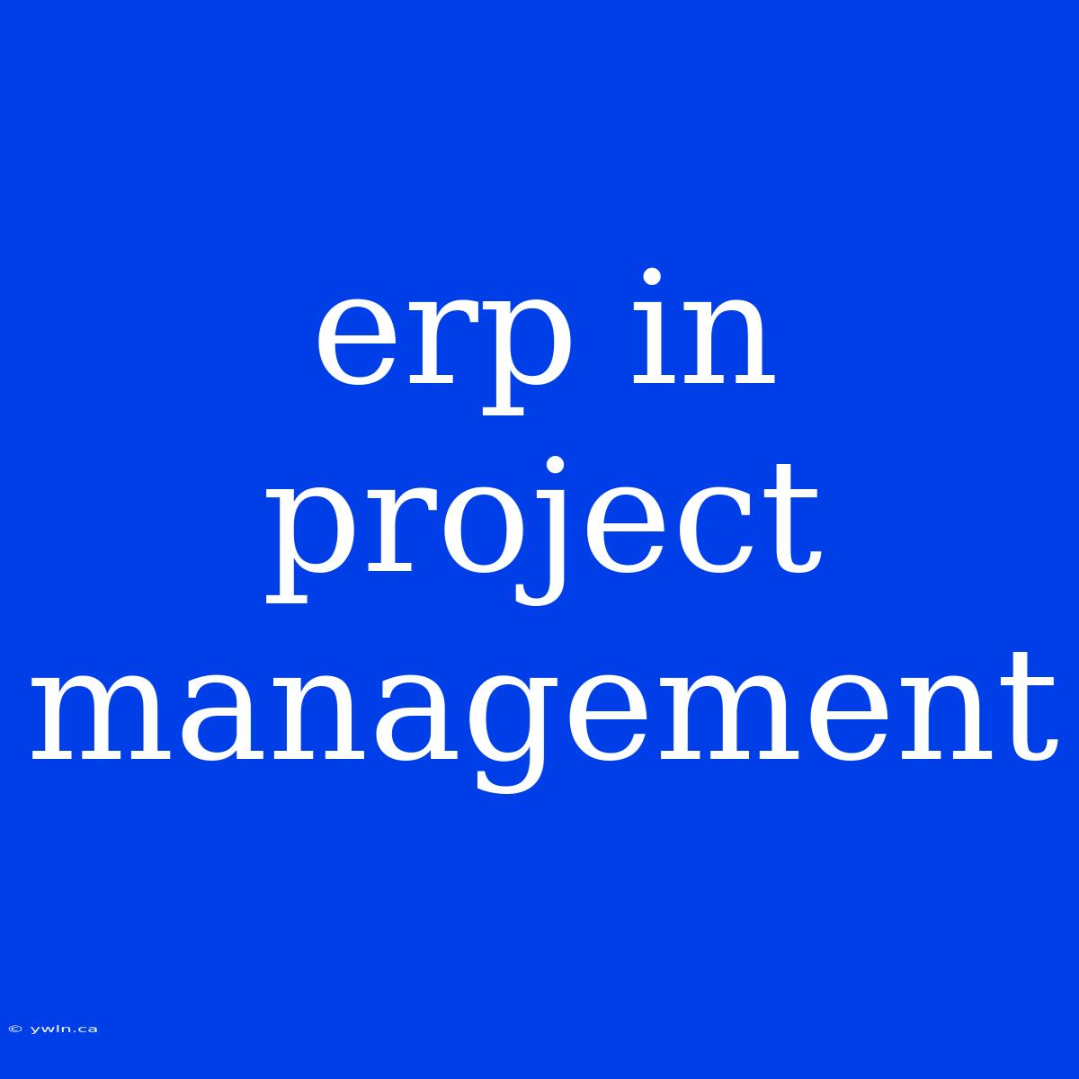 Erp In Project Management