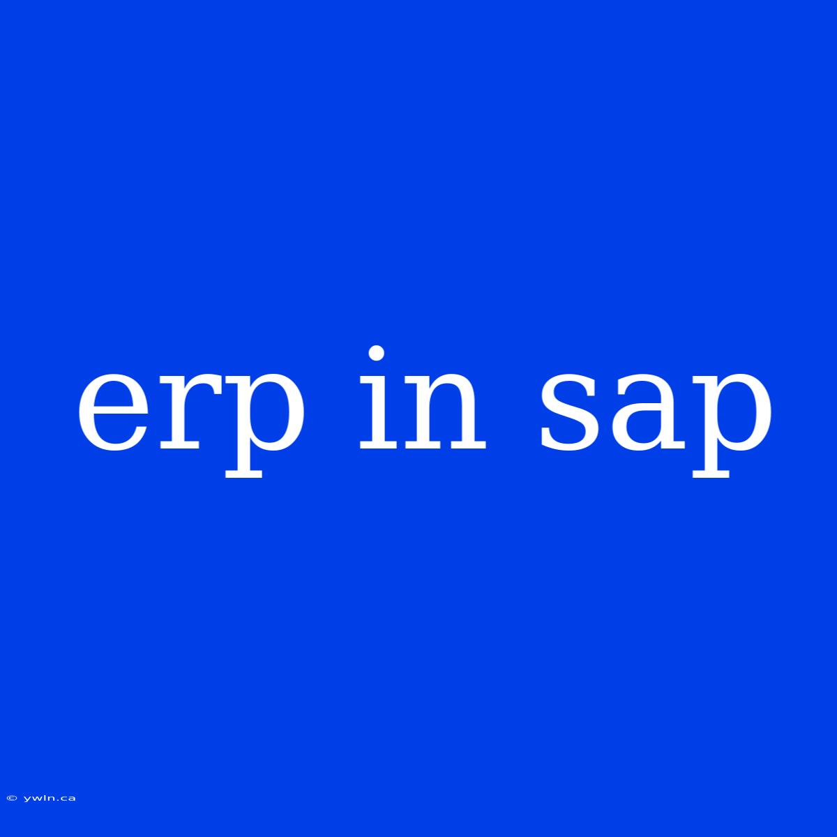 Erp In Sap