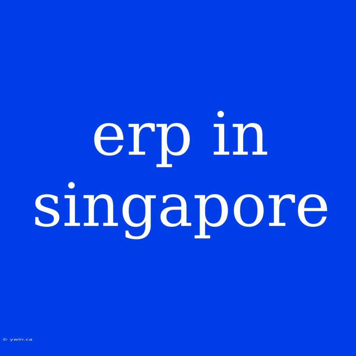 Erp In Singapore