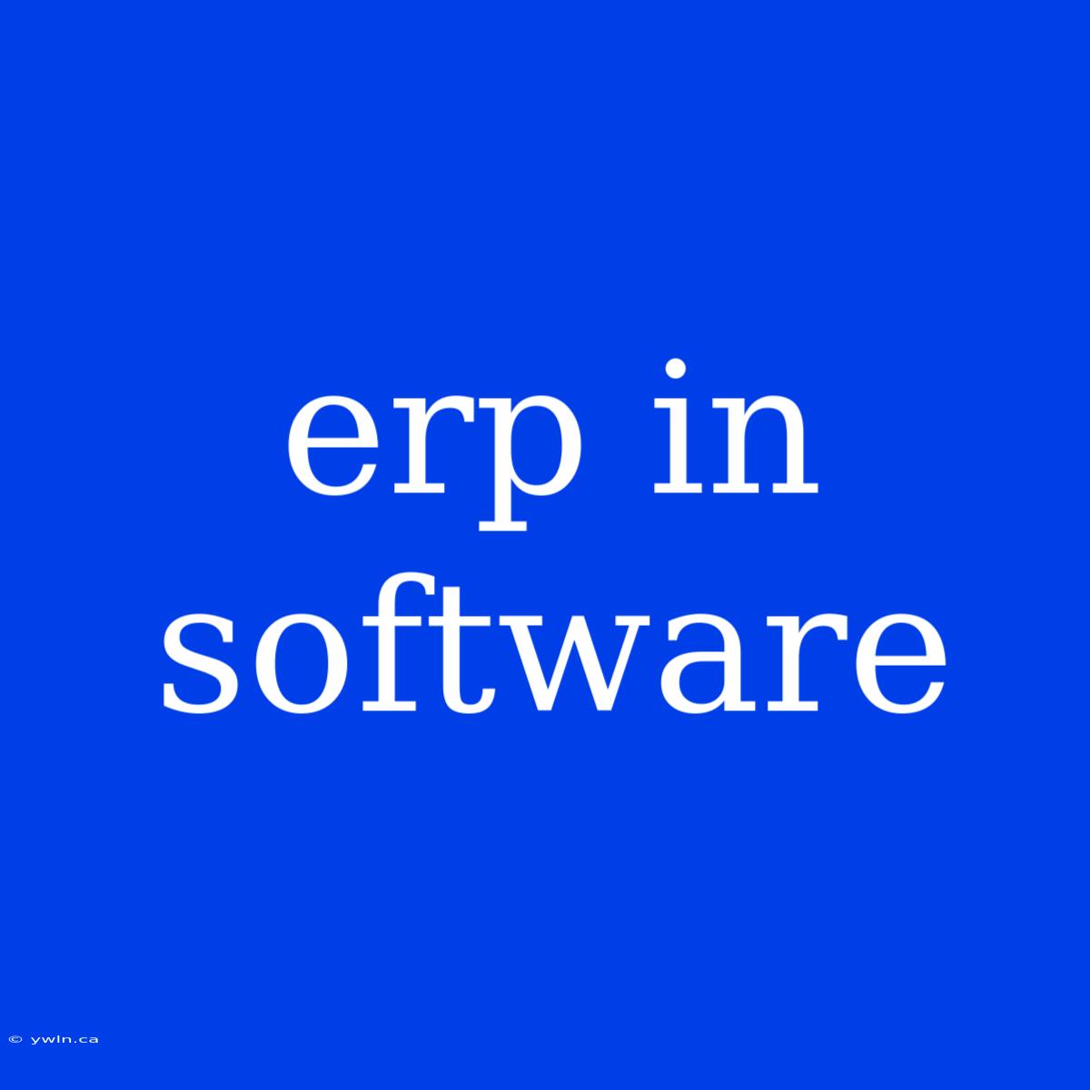 Erp In Software