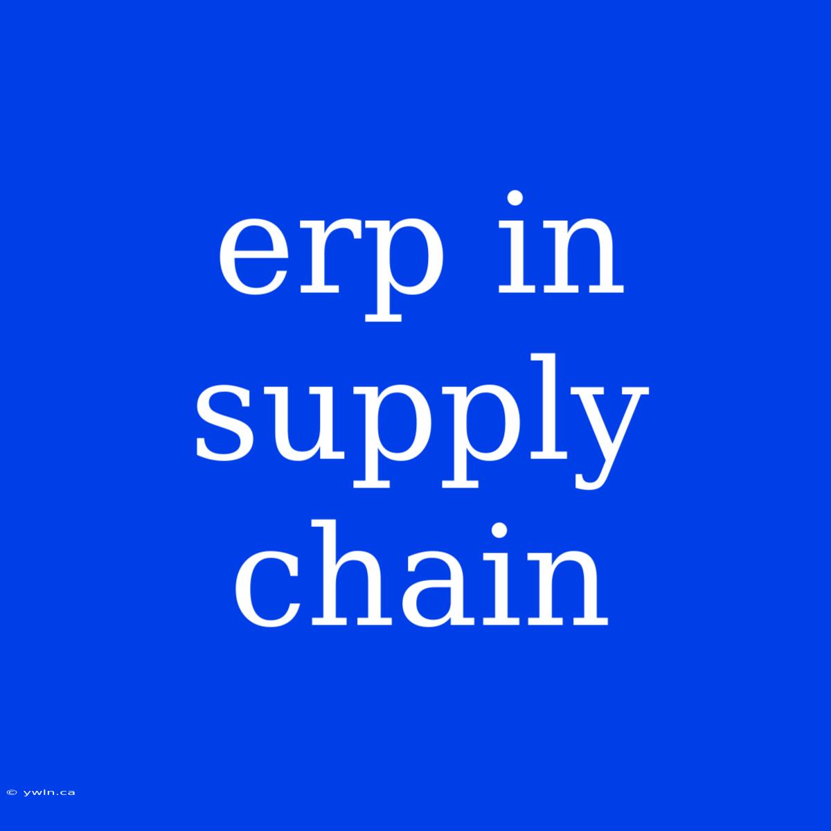 Erp In Supply Chain