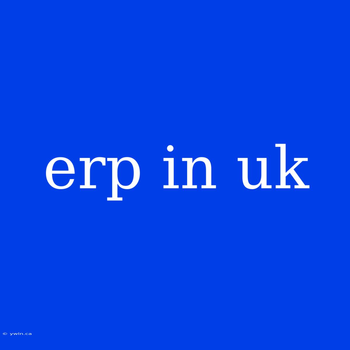 Erp In Uk