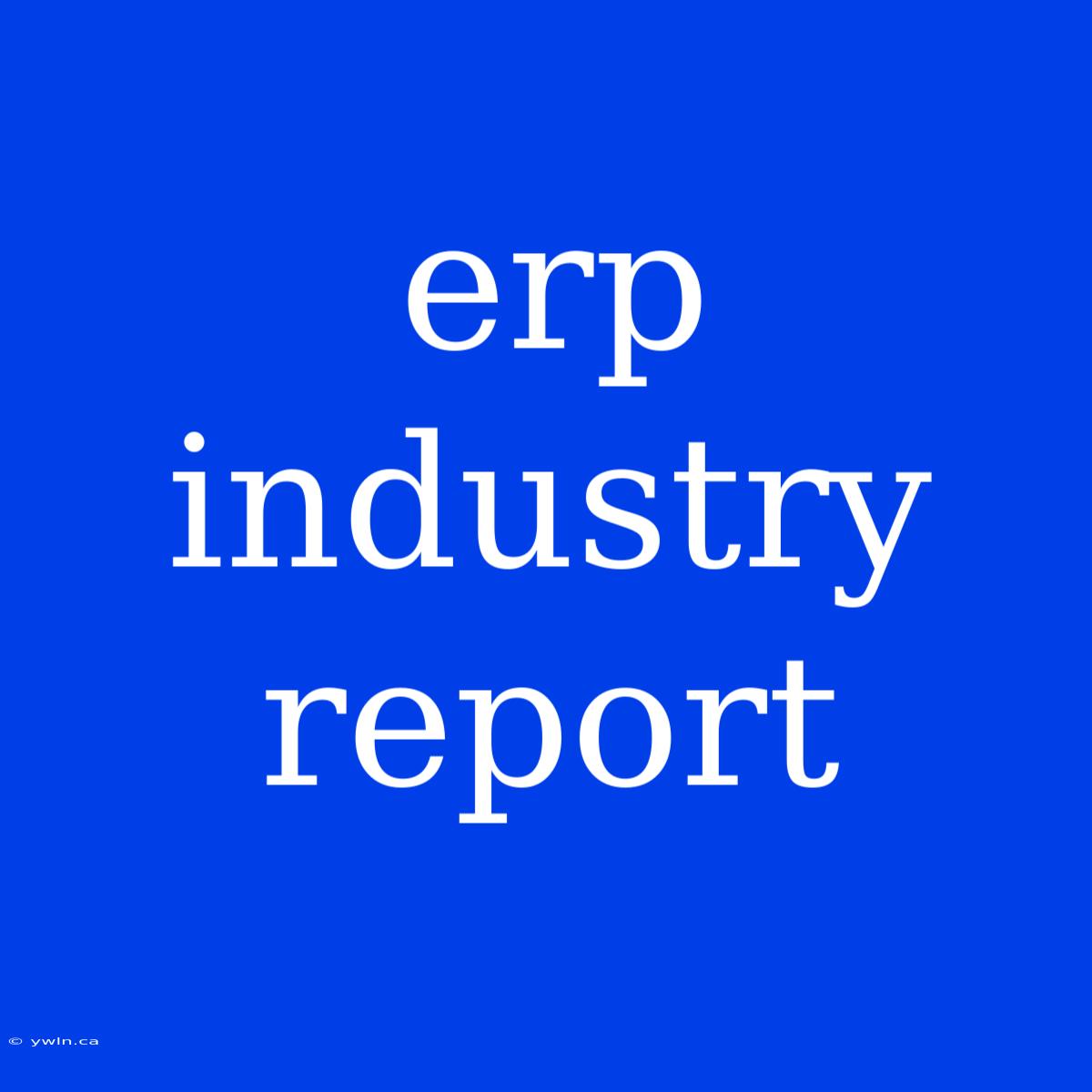 Erp Industry Report