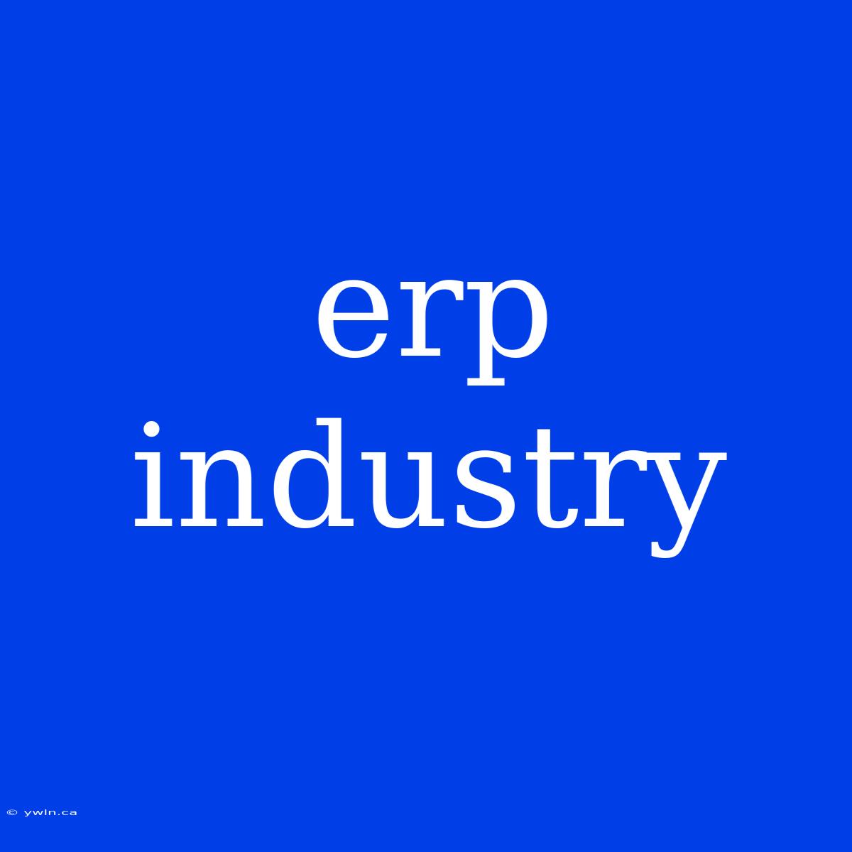 Erp Industry