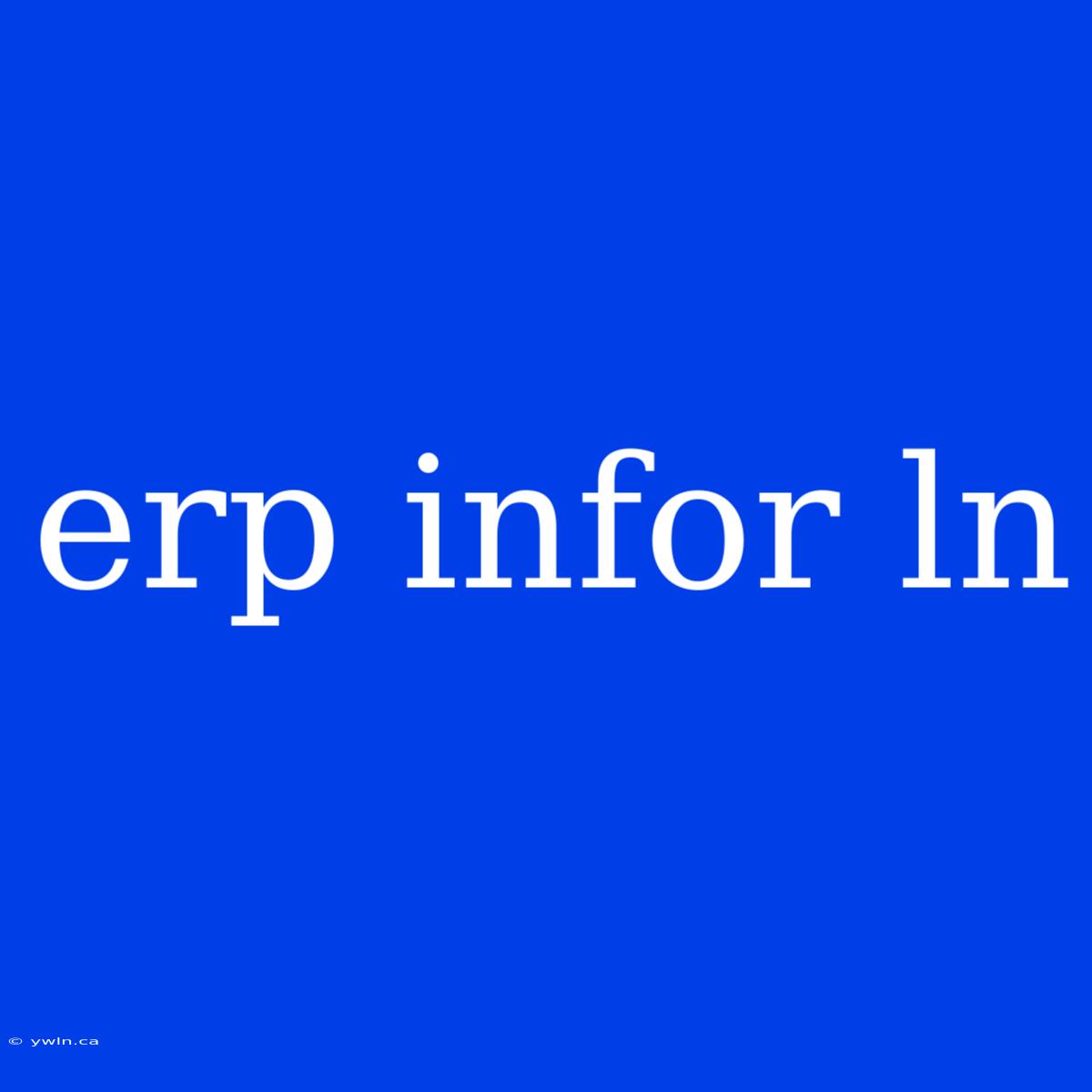 Erp Infor Ln