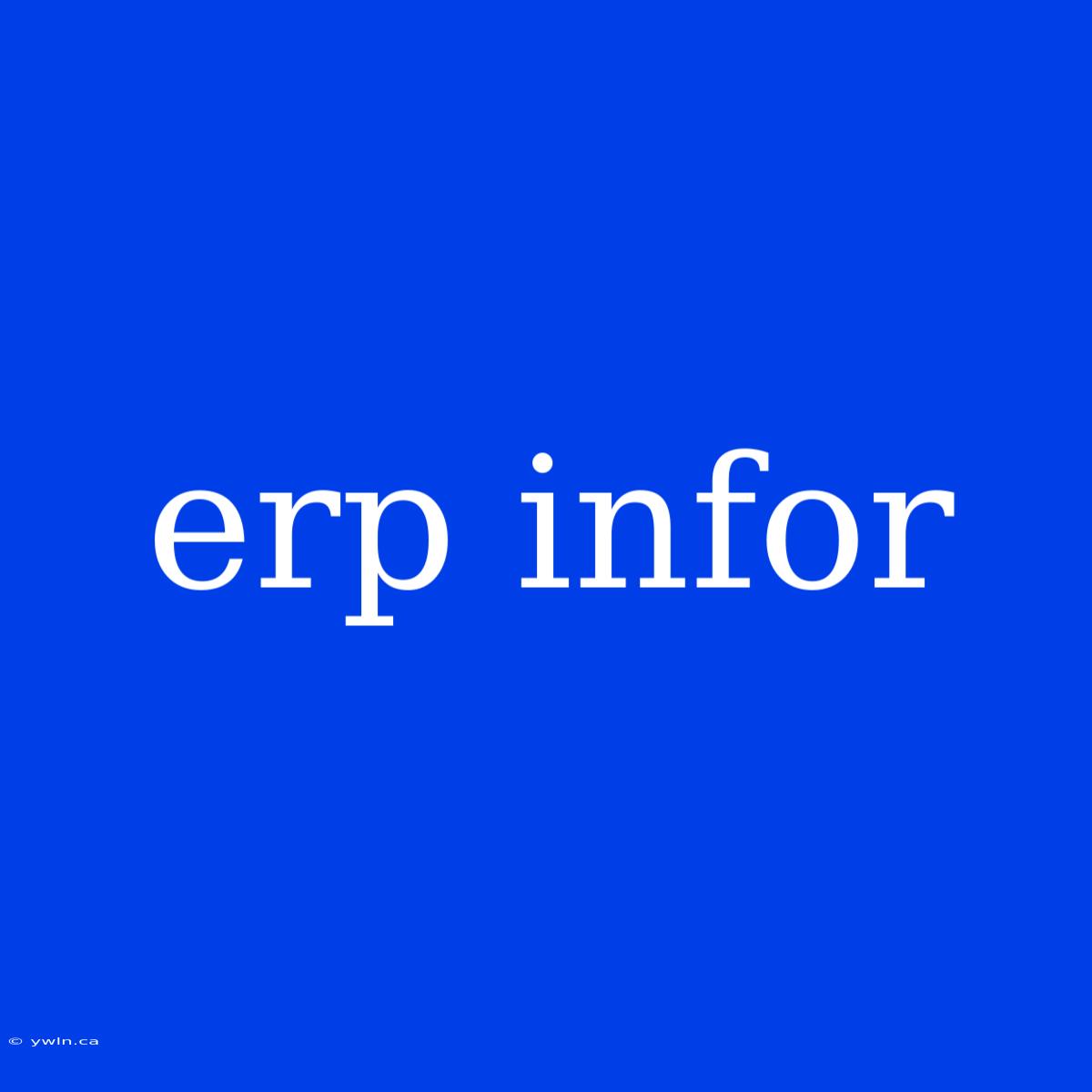 Erp Infor