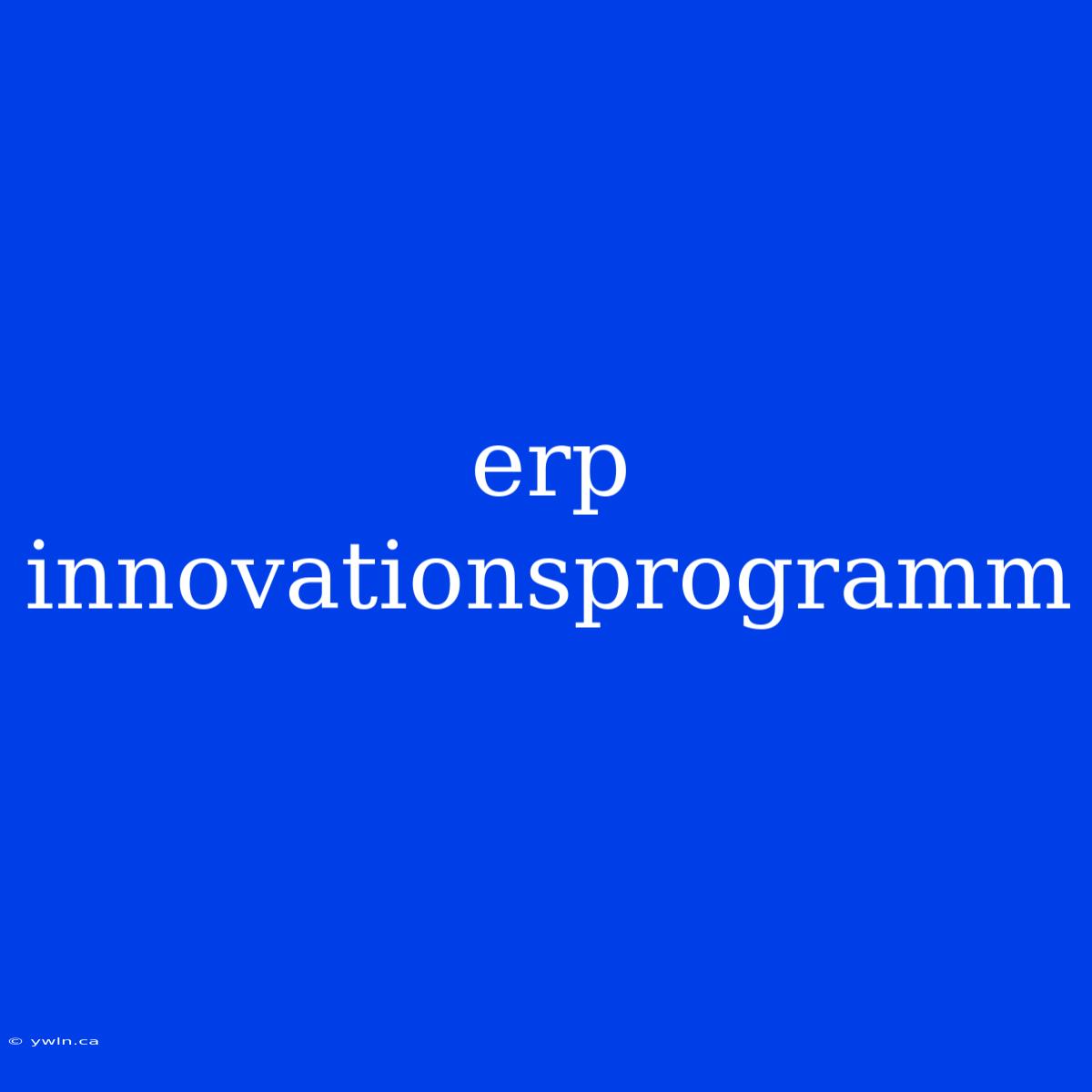 Erp Innovationsprogramm