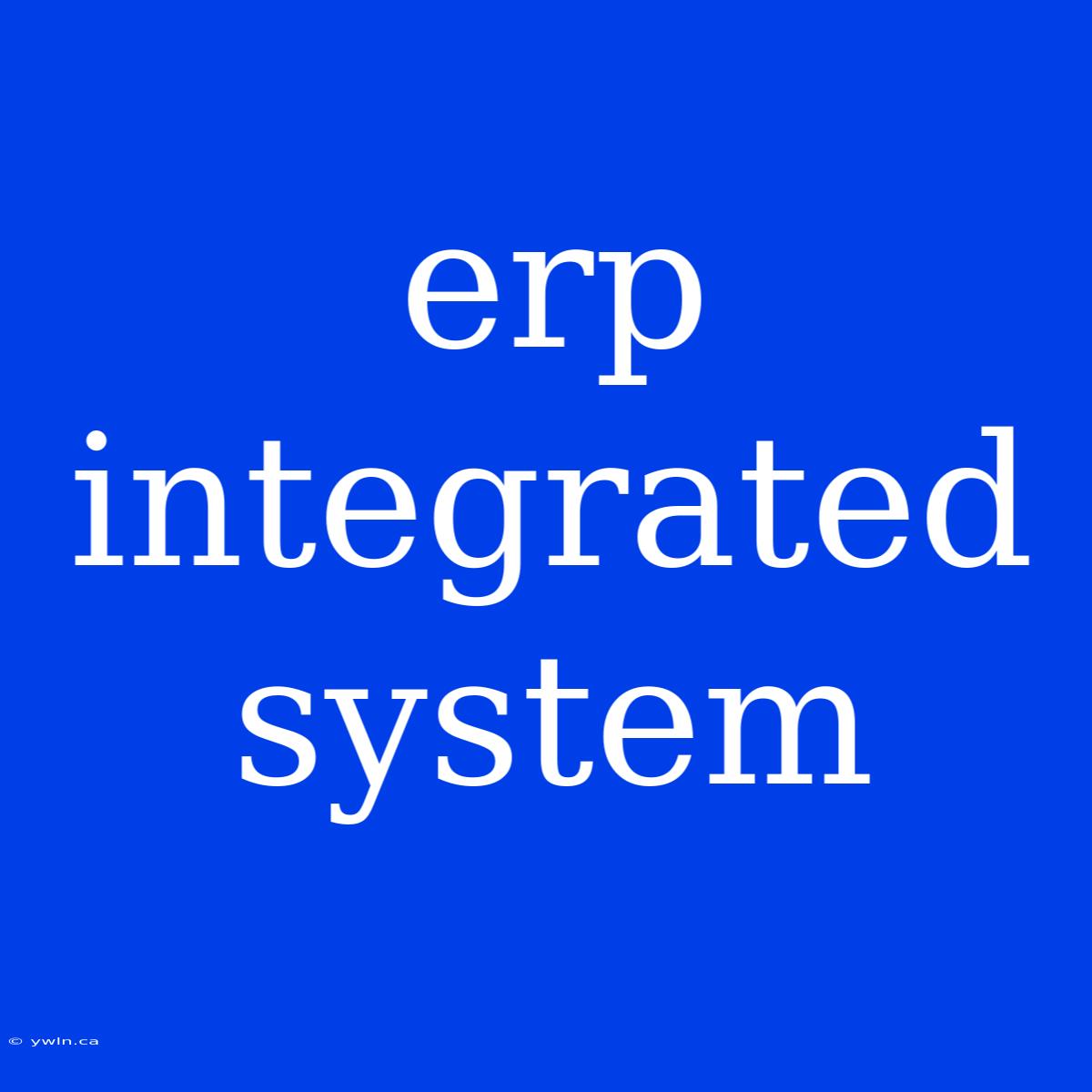 Erp Integrated System