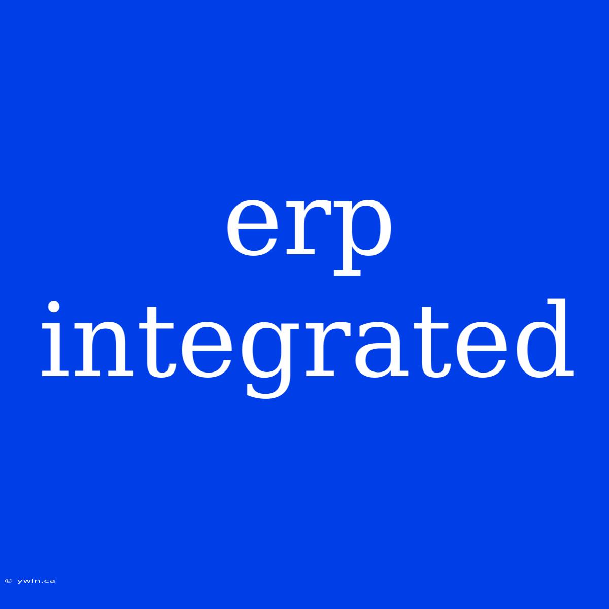 Erp Integrated