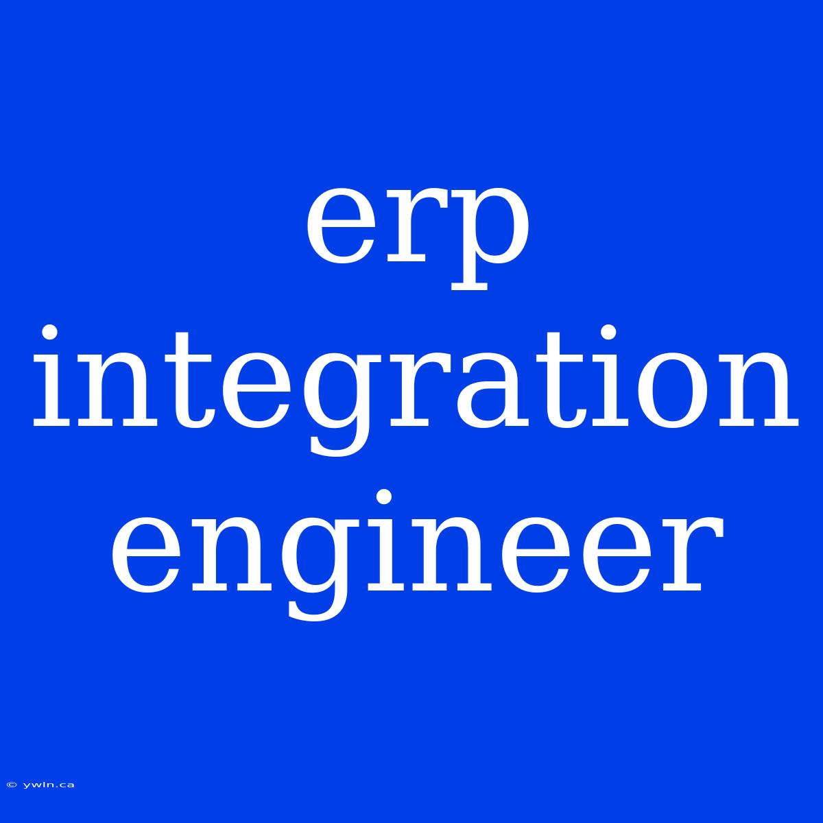 Erp Integration Engineer