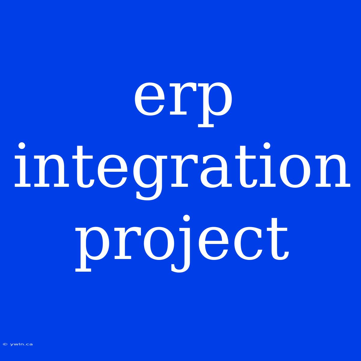 Erp Integration Project