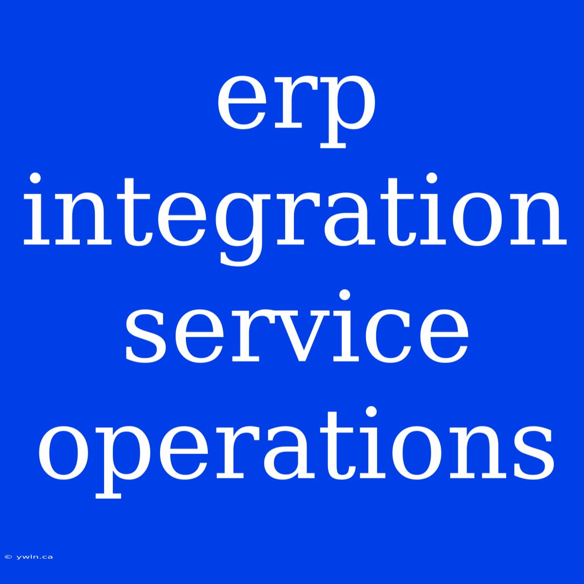 Erp Integration Service Operations