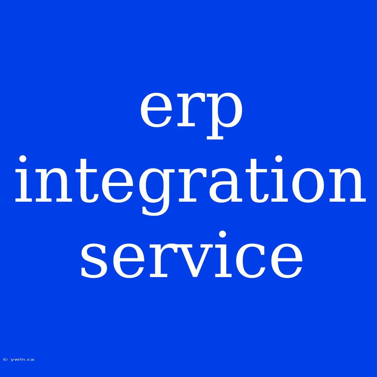 Erp Integration Service