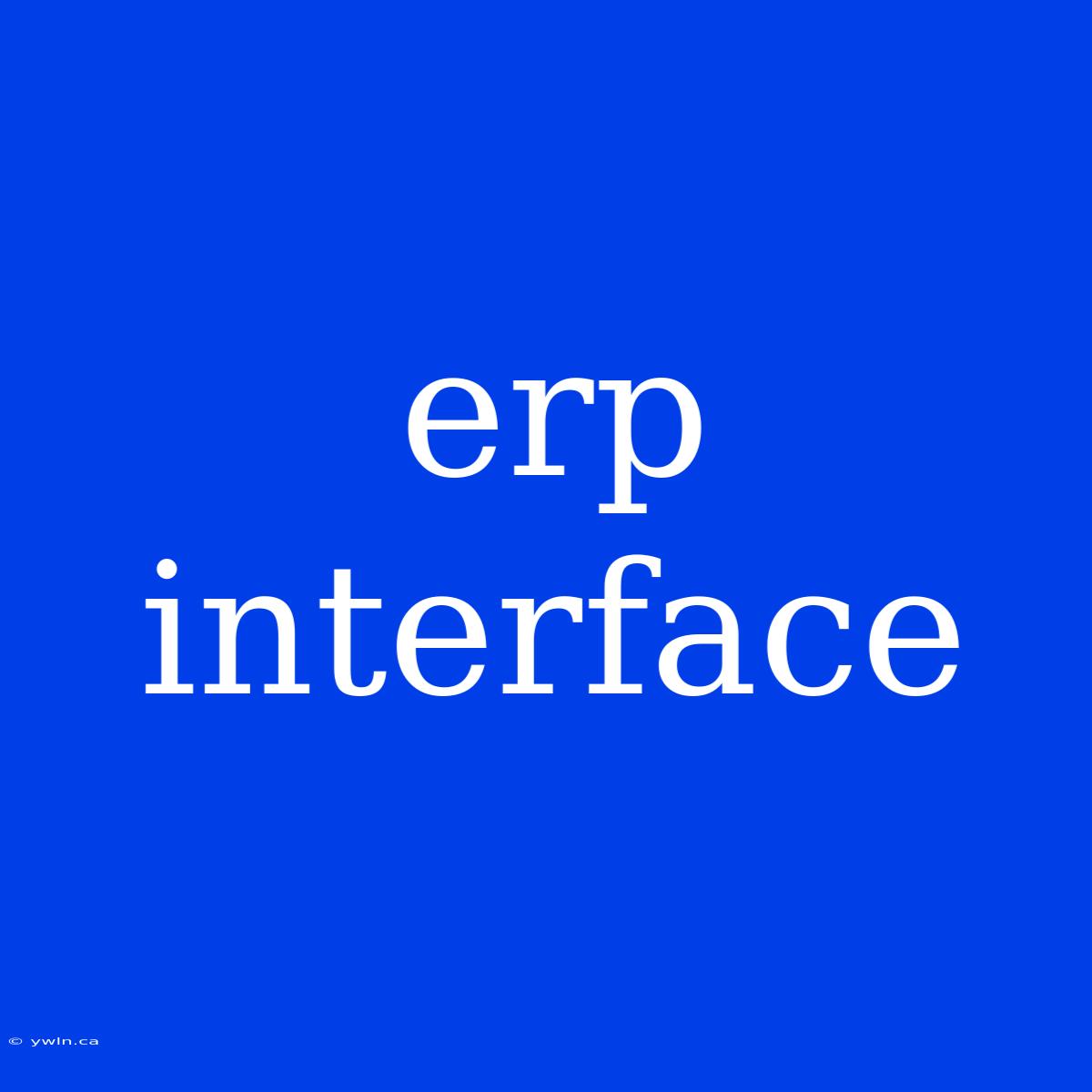 Erp Interface