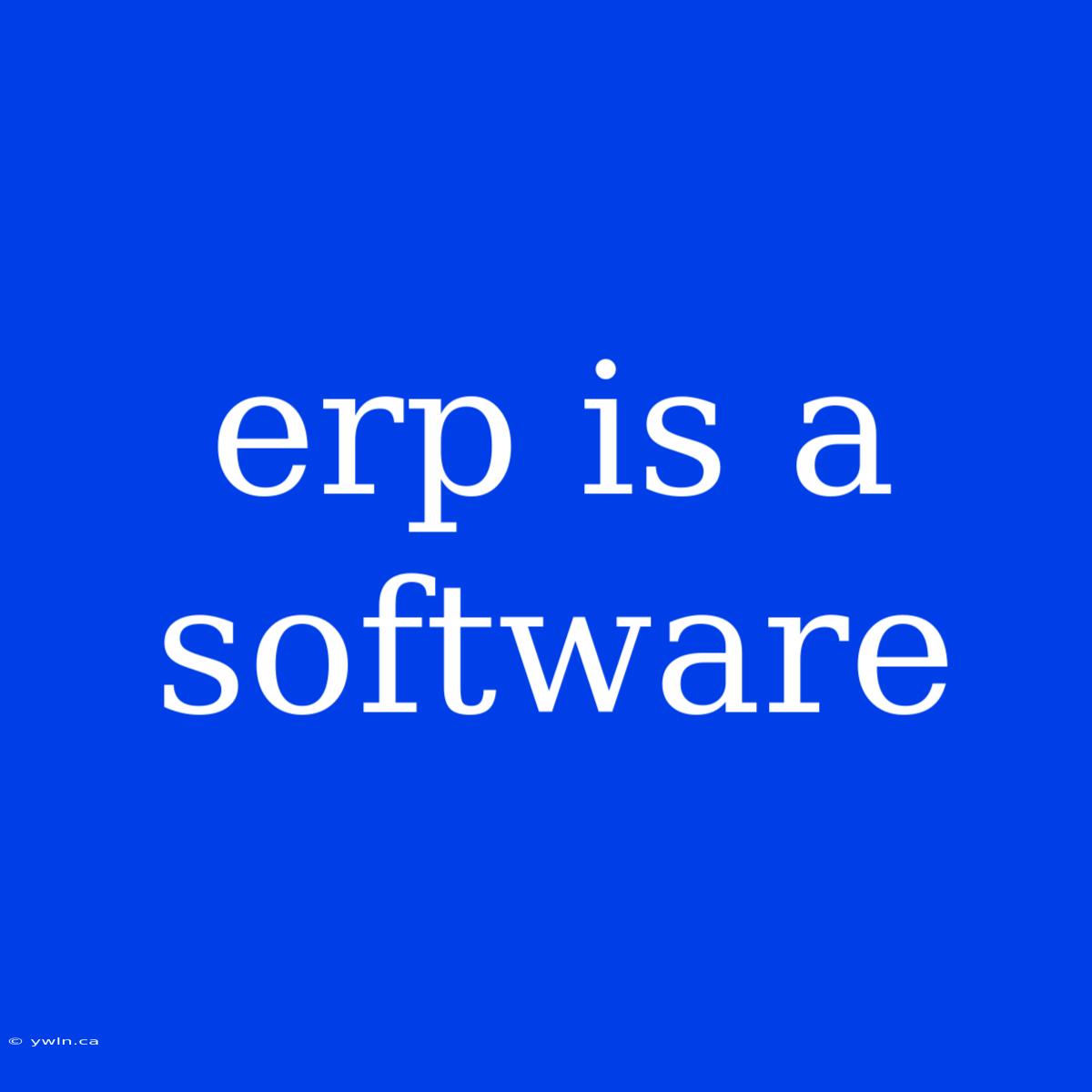 Erp Is A Software