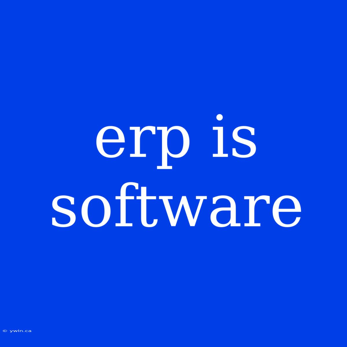 Erp Is Software