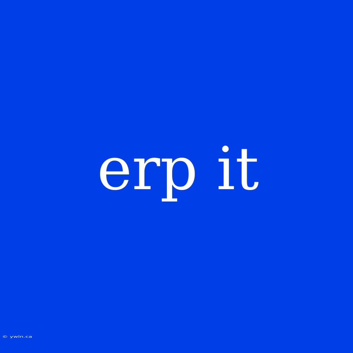 Erp It