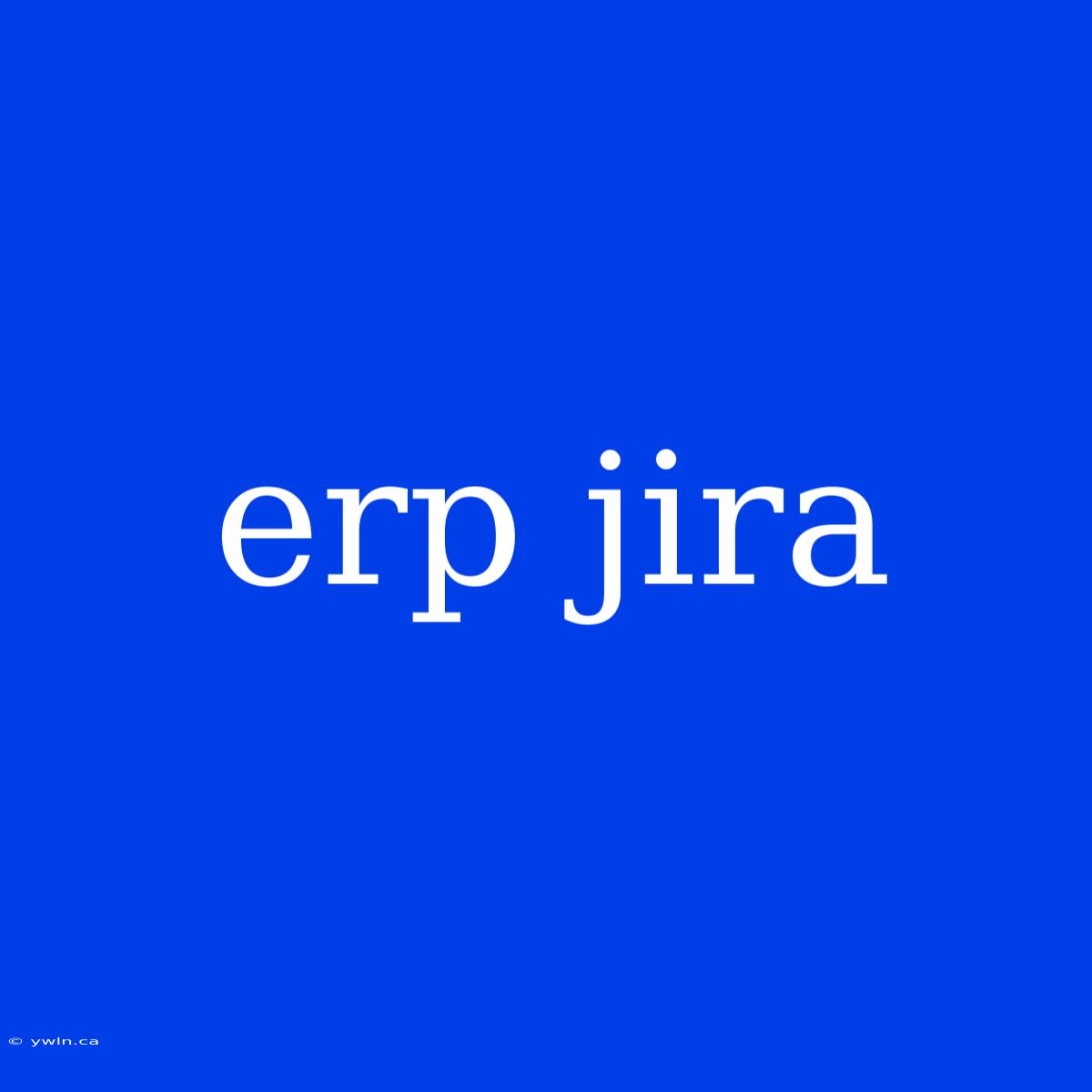 Erp Jira