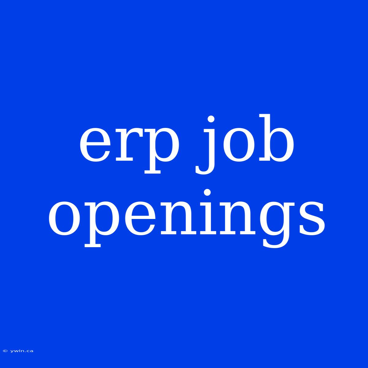 Erp Job Openings