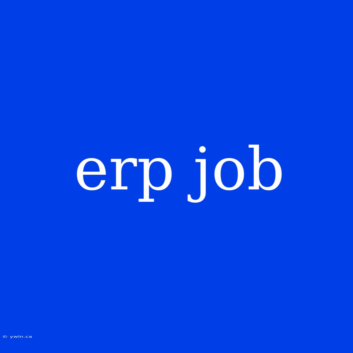 Erp Job