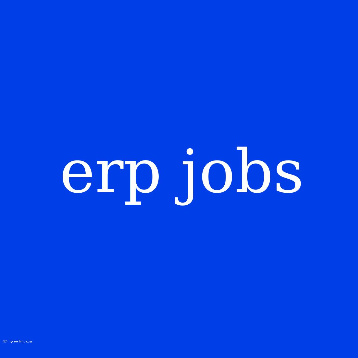 Erp Jobs