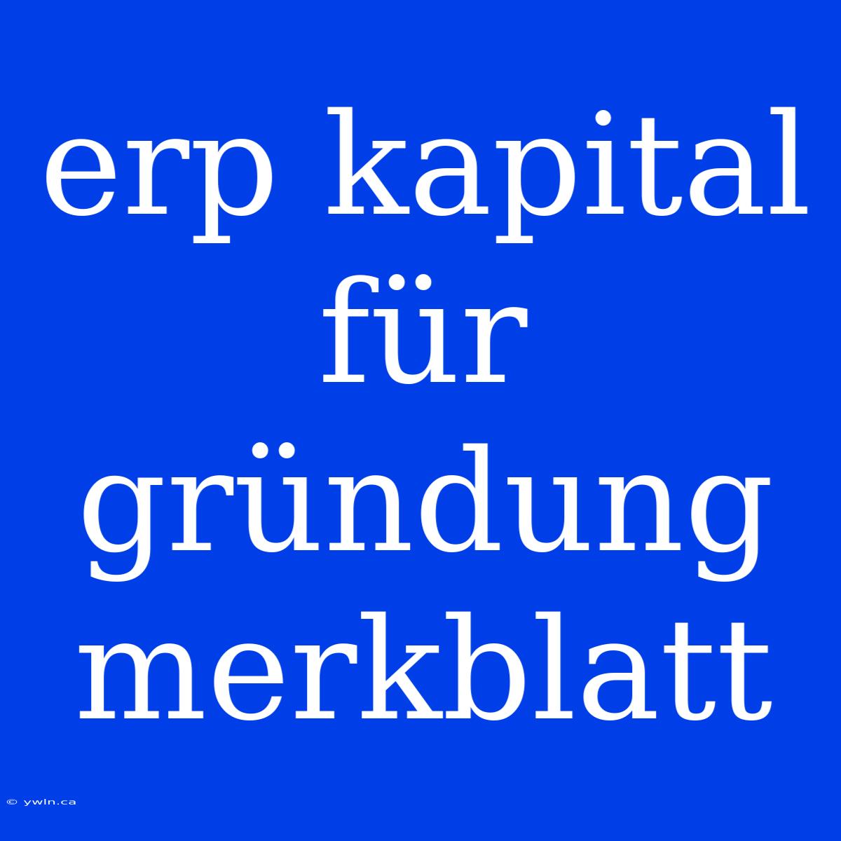 Erp Kapital Für Gründung Merkblatt