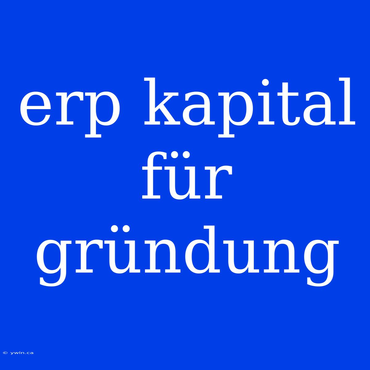 Erp Kapital Für Gründung