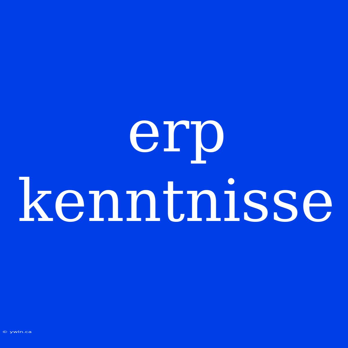 Erp Kenntnisse