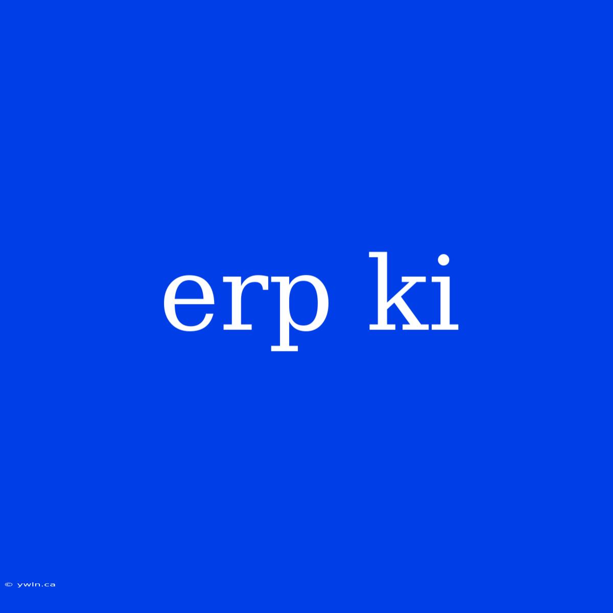 Erp Ki