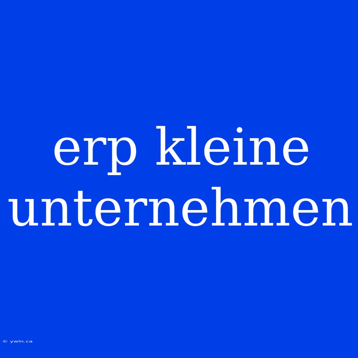 Erp Kleine Unternehmen