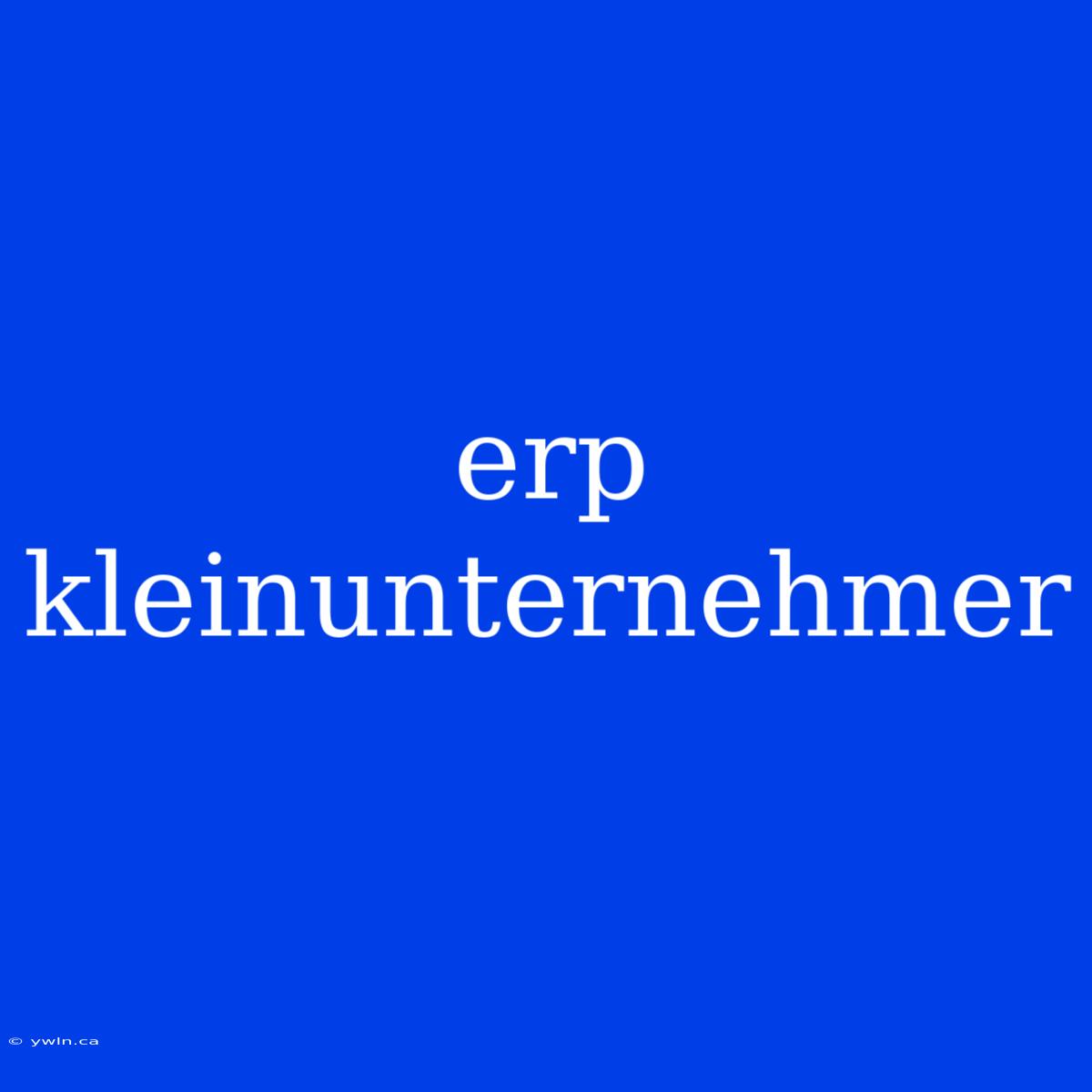 Erp Kleinunternehmer