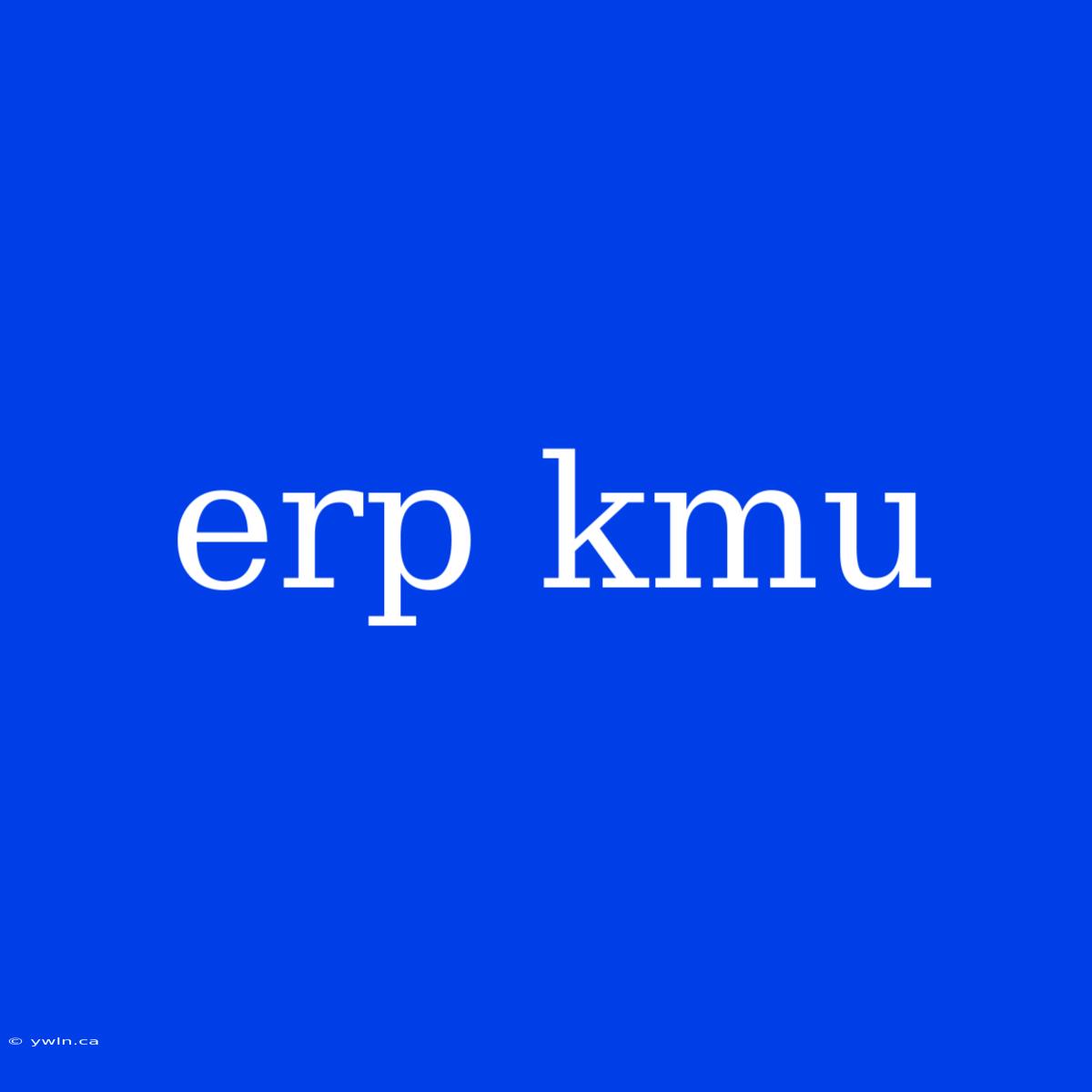 Erp Kmu