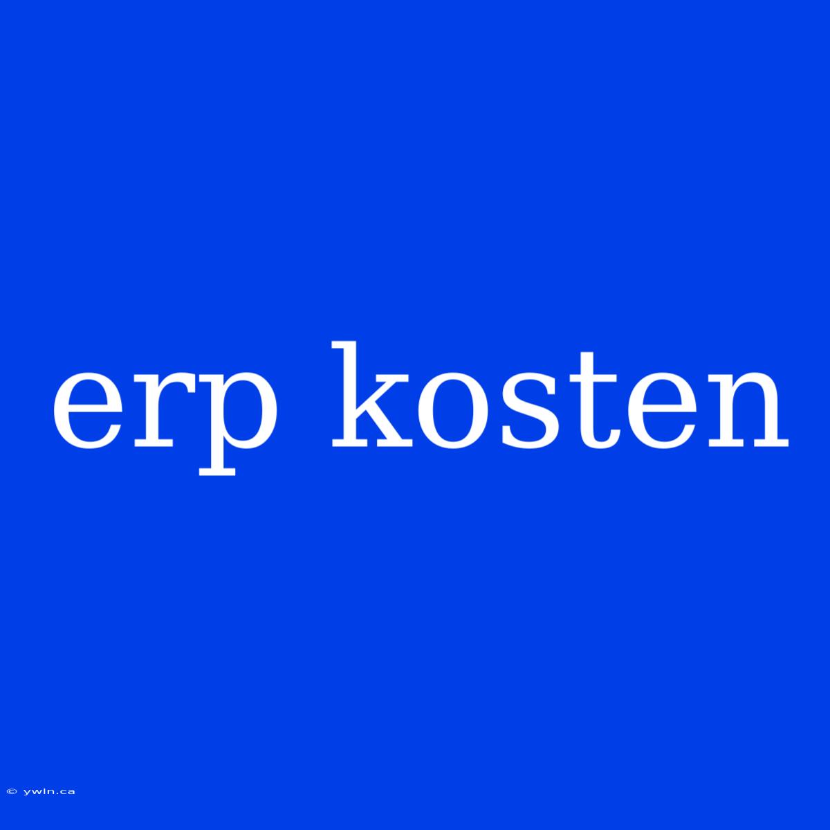 Erp Kosten