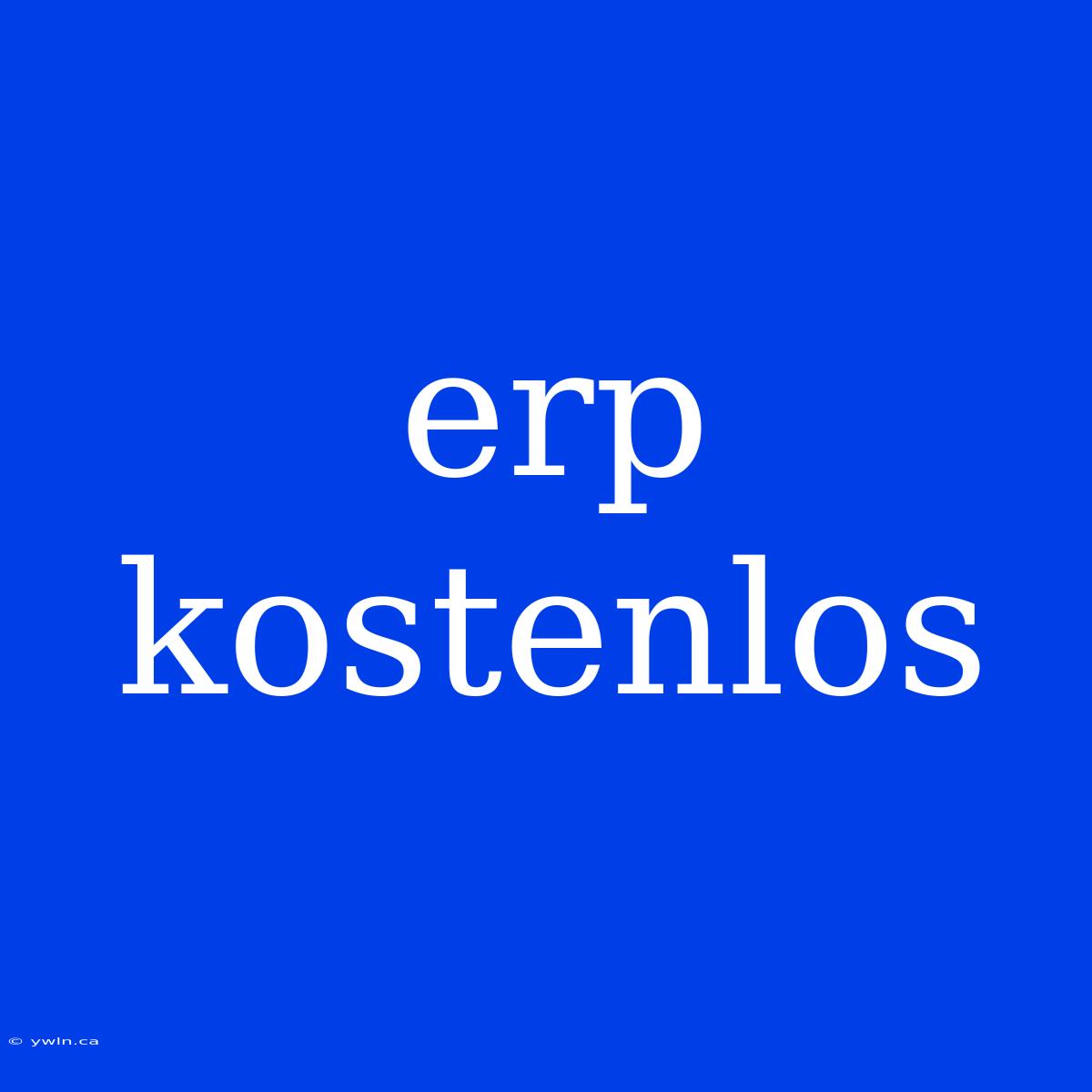 Erp Kostenlos