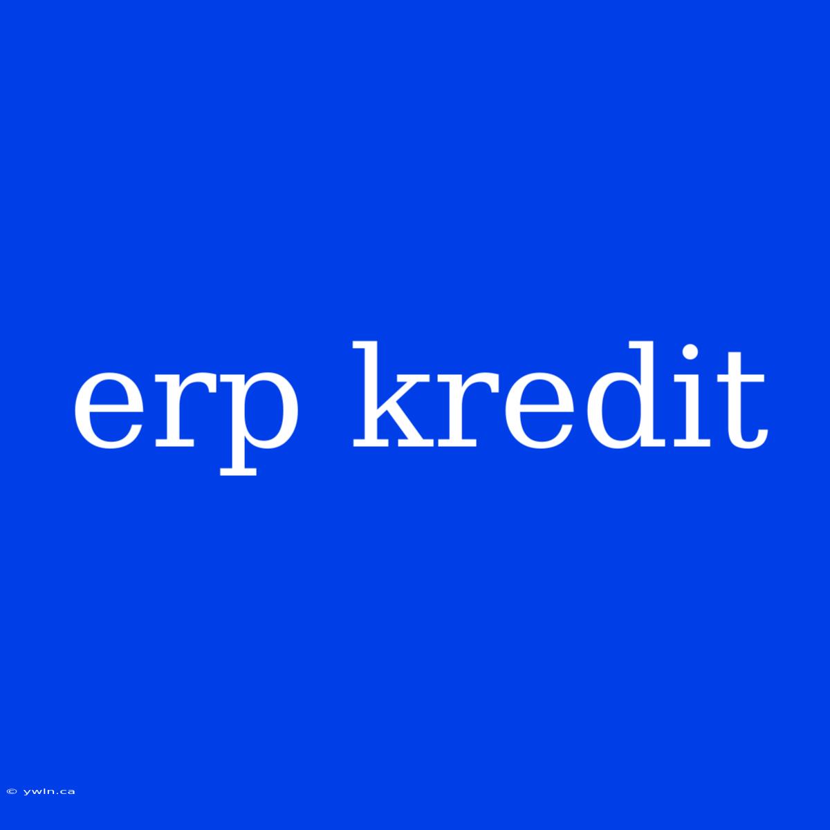 Erp Kredit